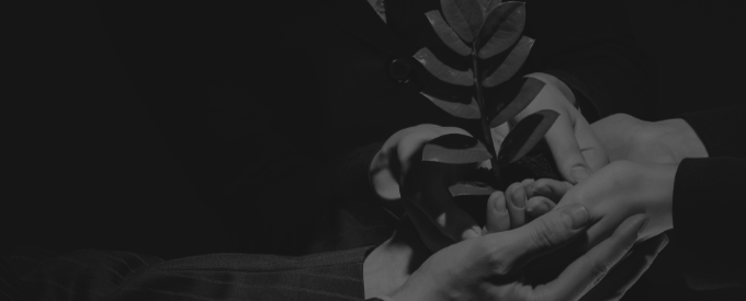 锦囊互动发展历程